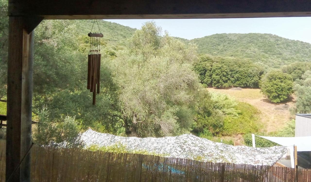 T3 En Rez De Sur Les Hauteurs D'ajaccio