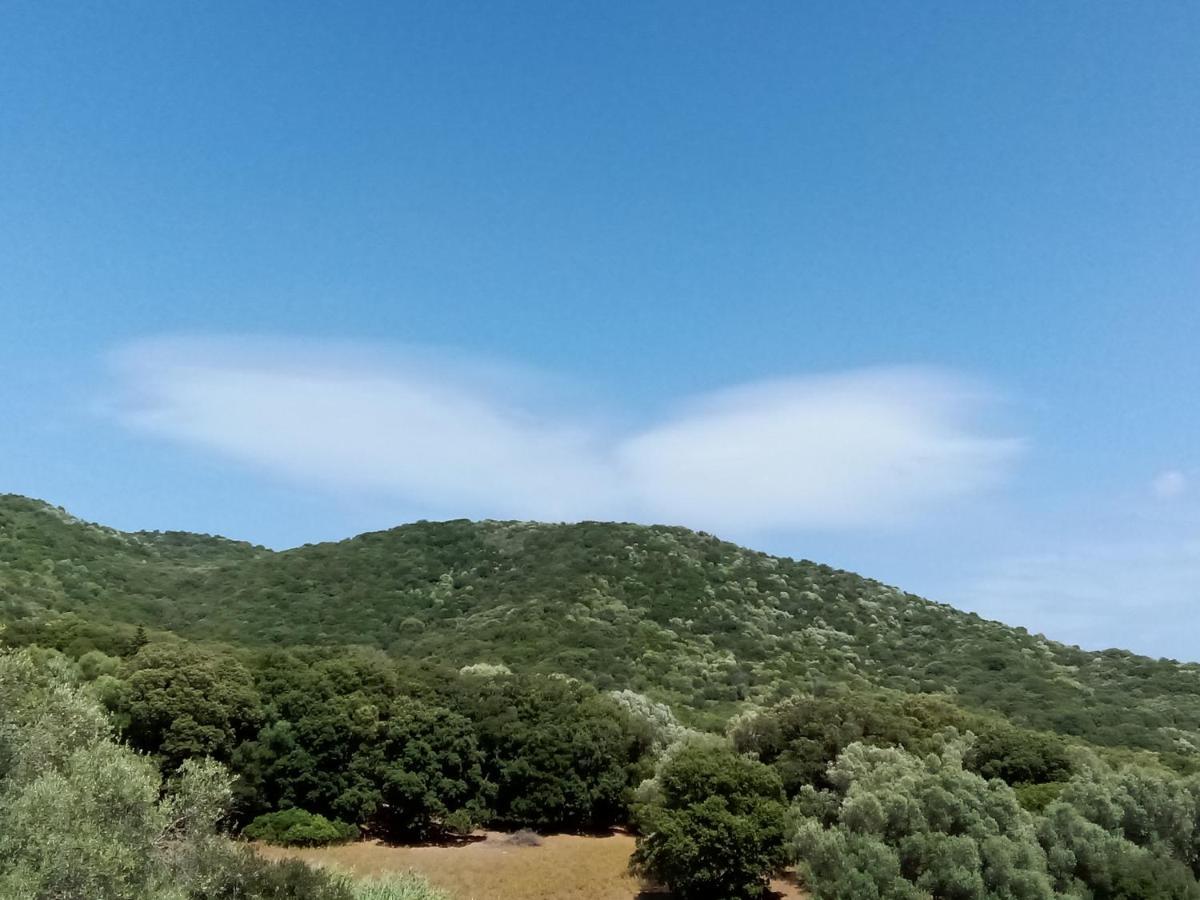 Apartment T3 En Rez De Sur Les Hauteurs D'ajaccio Ajaccio (Corsica)