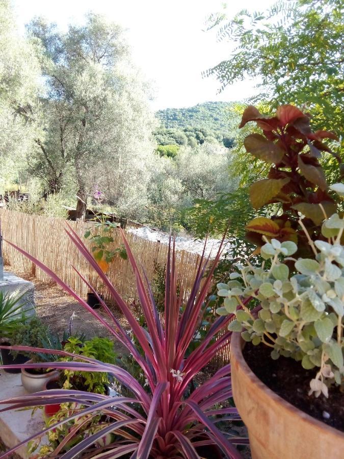 Apartment T3 En Rez De Sur Les Hauteurs D'ajaccio *